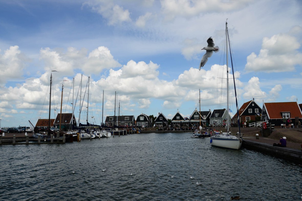 16__TOM0951.jpg