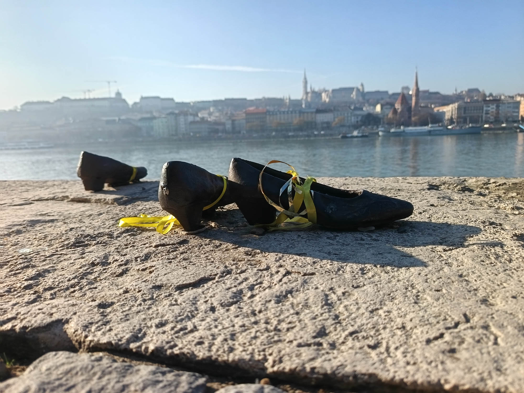 16 - IMG_20241228_115521